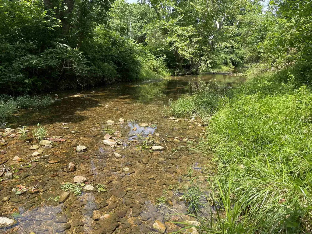 Picture 22