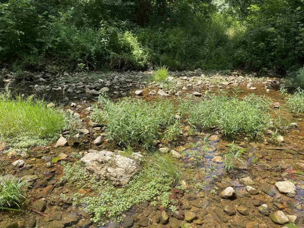 Picture 21