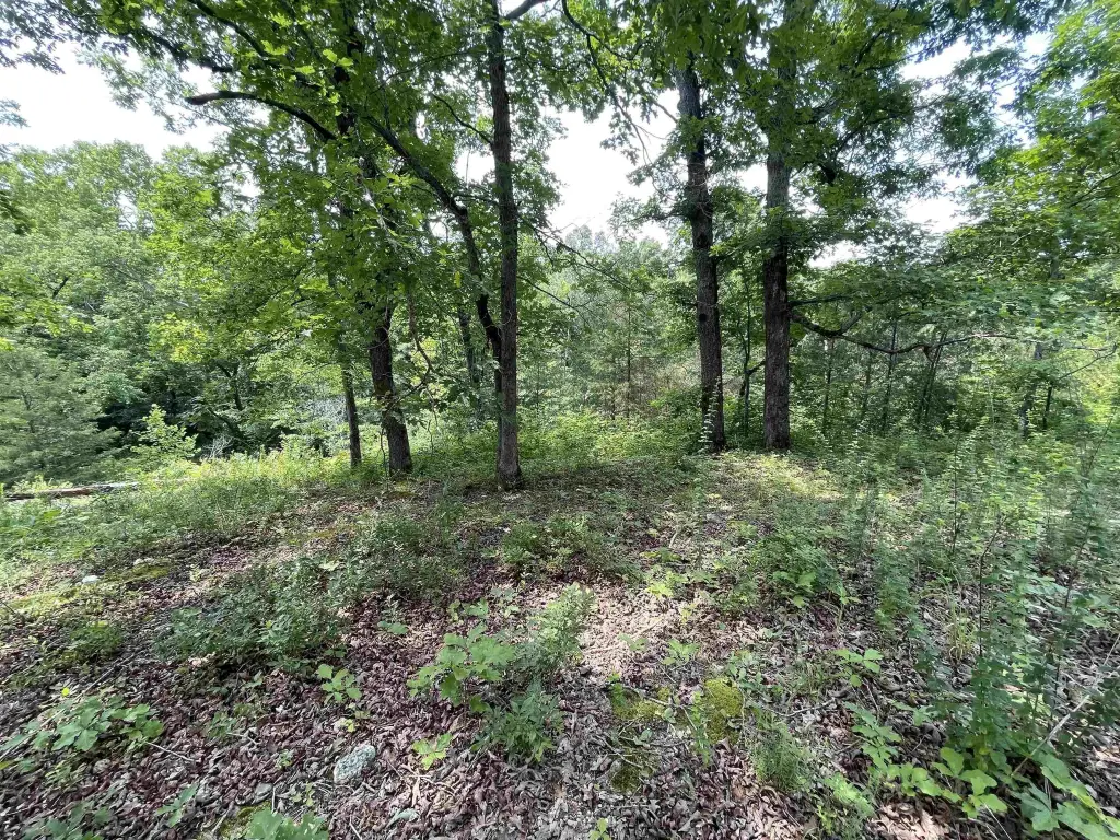 Picture 6
