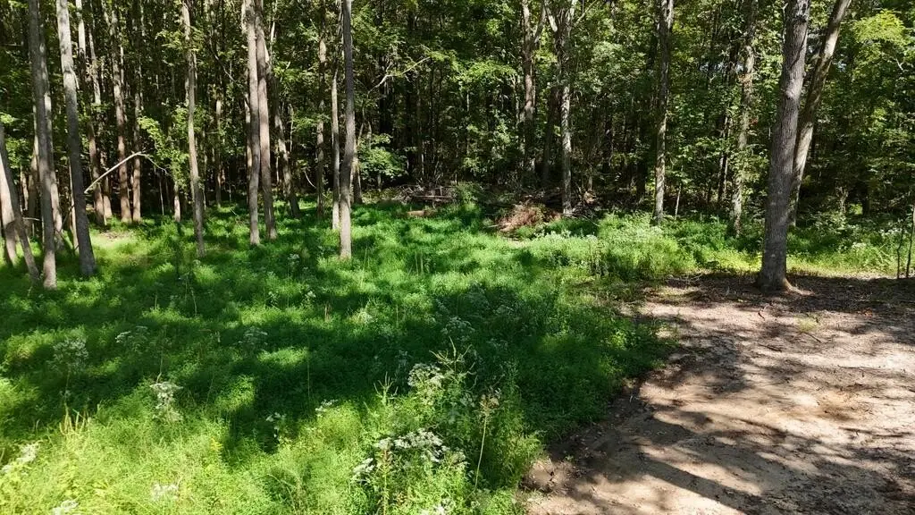 Picture 24
