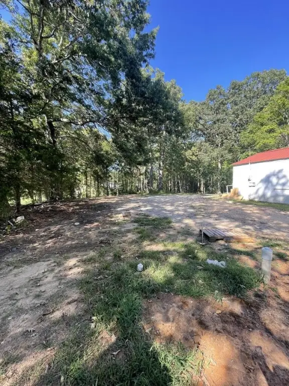Picture 20