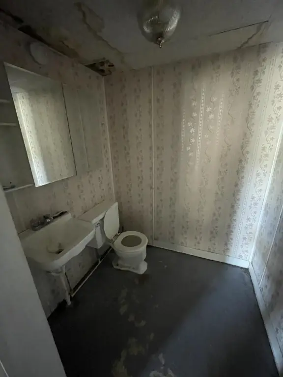 Picture 14