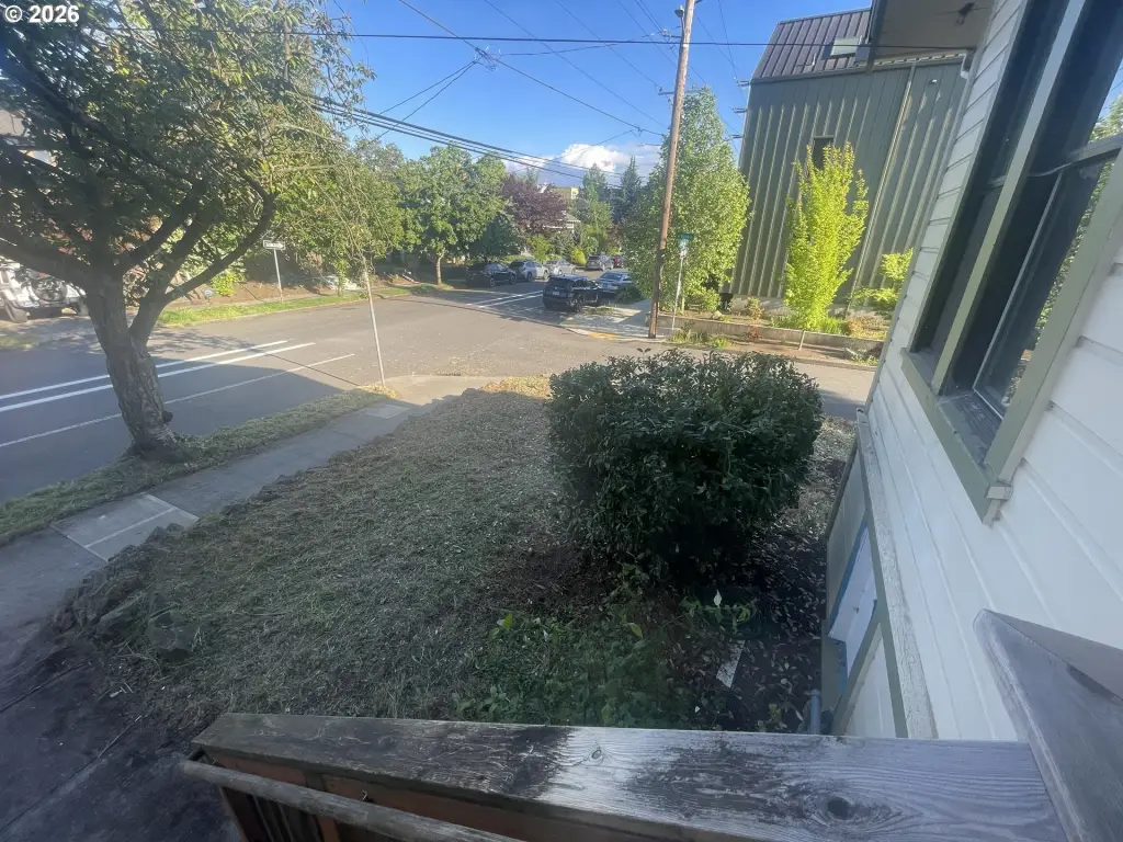 Picture 21