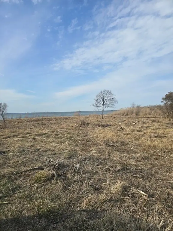 Picture 6