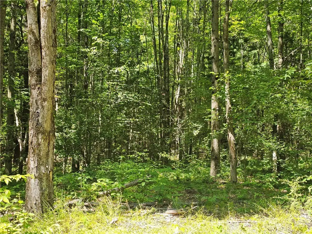 Picture 34