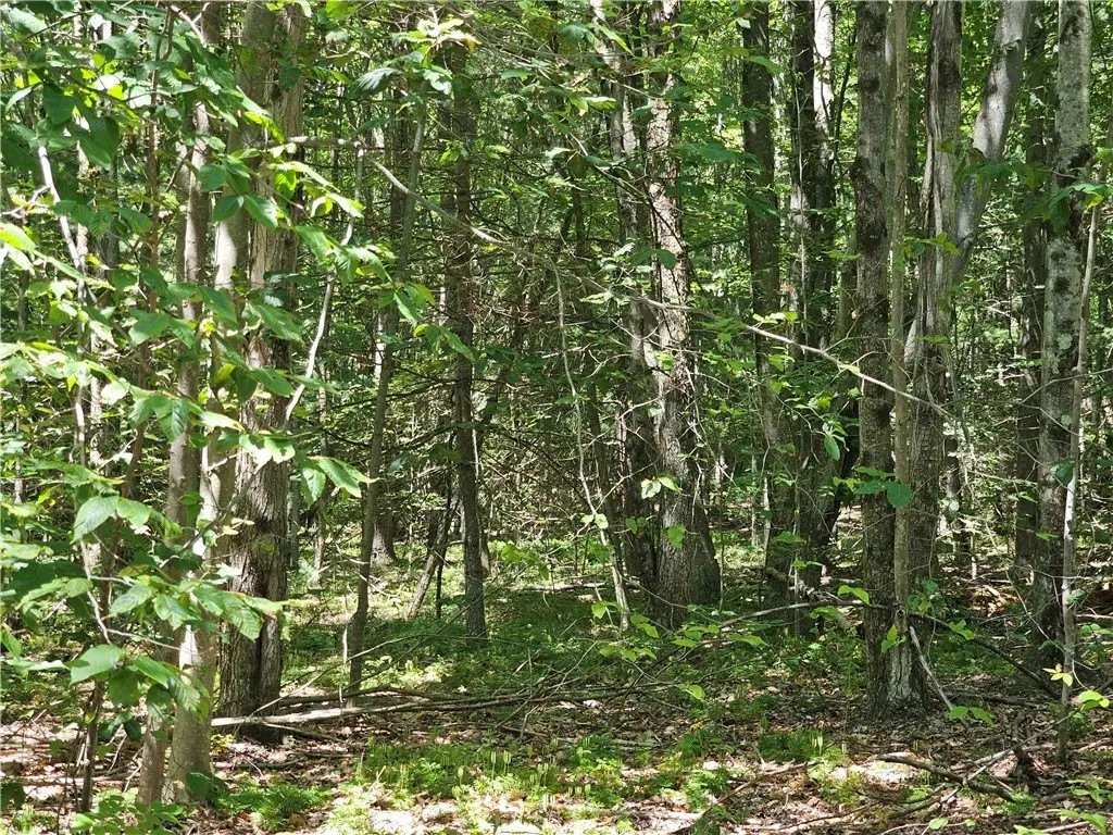 Picture 32