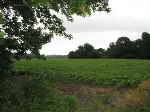 Nelsonia Land with Septic Certification