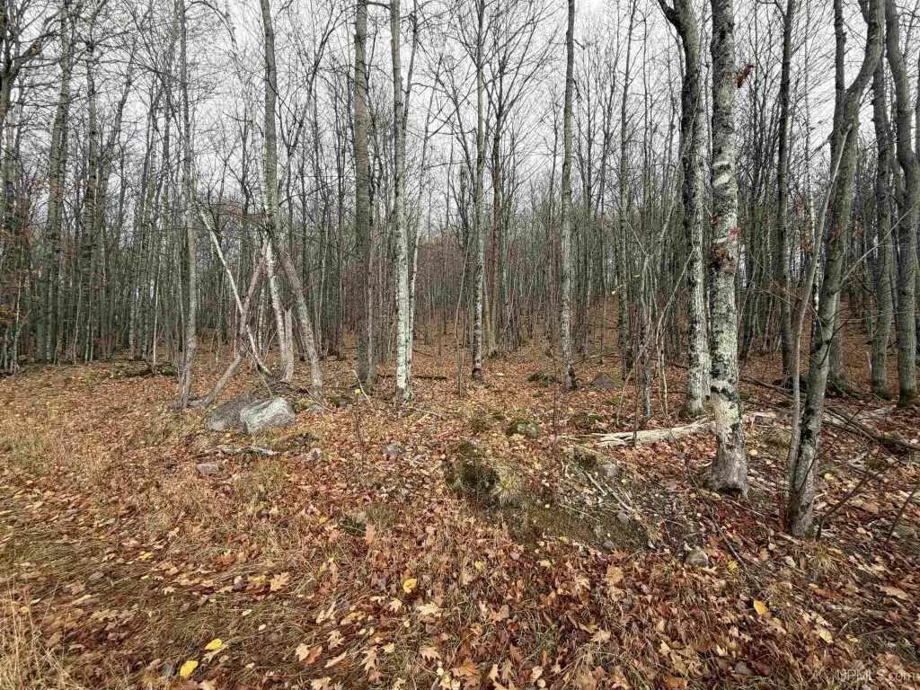 Picture 19