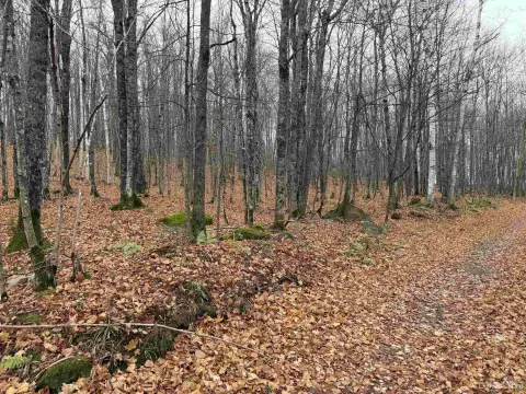 Land with Internal Road Access