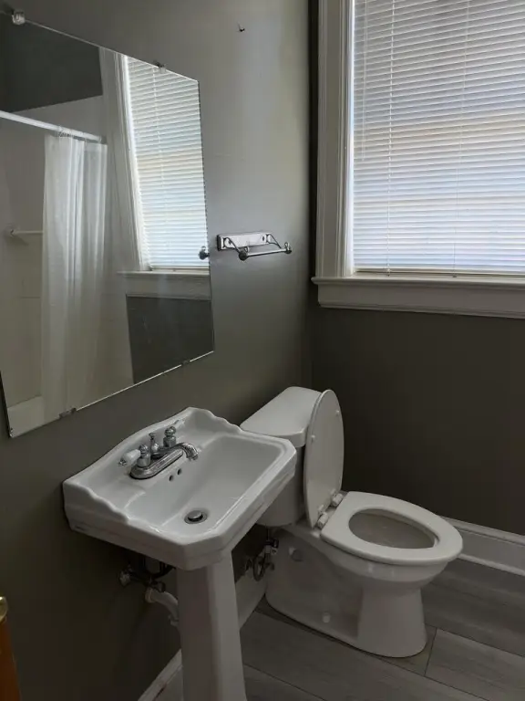 Picture 17