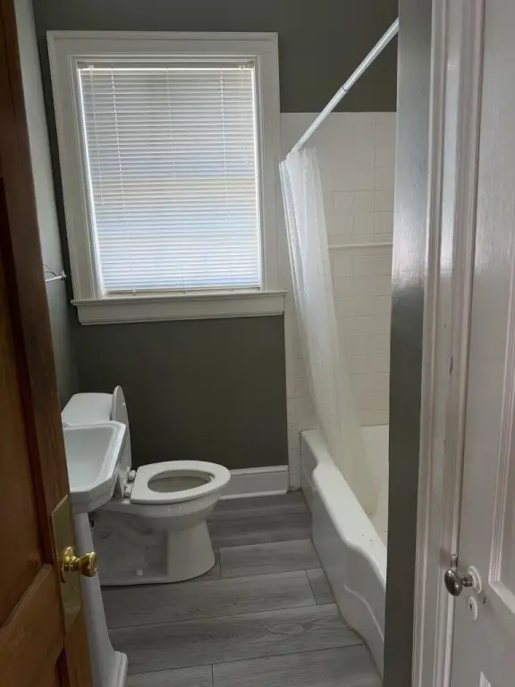 Picture 16