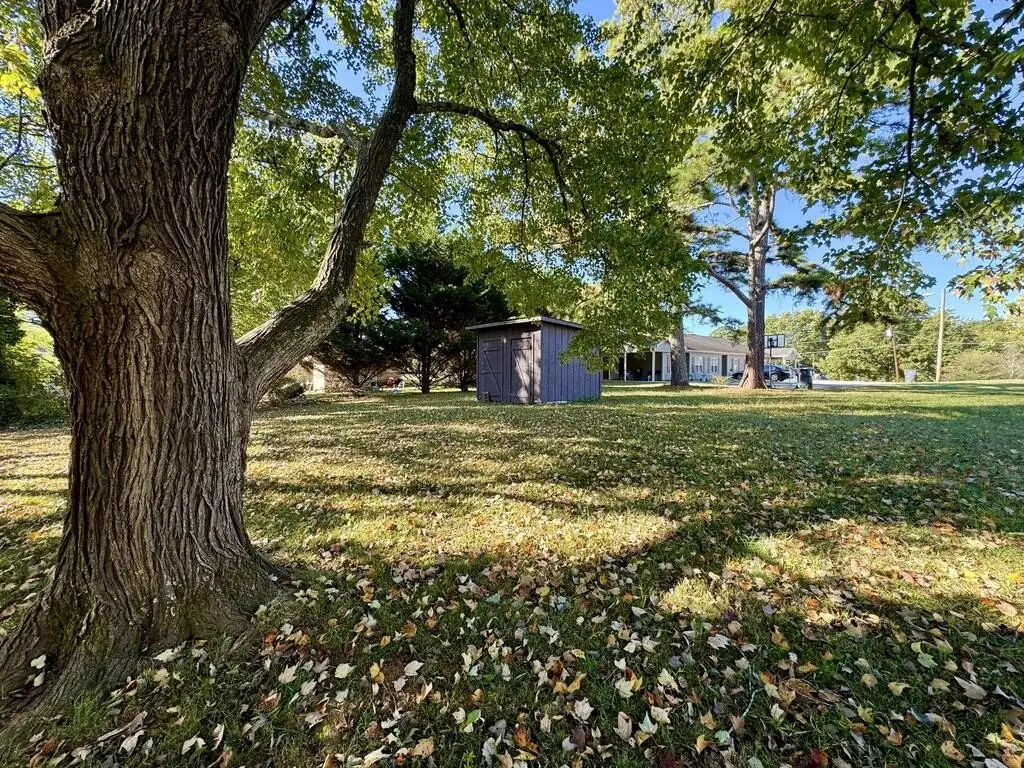 Picture 17