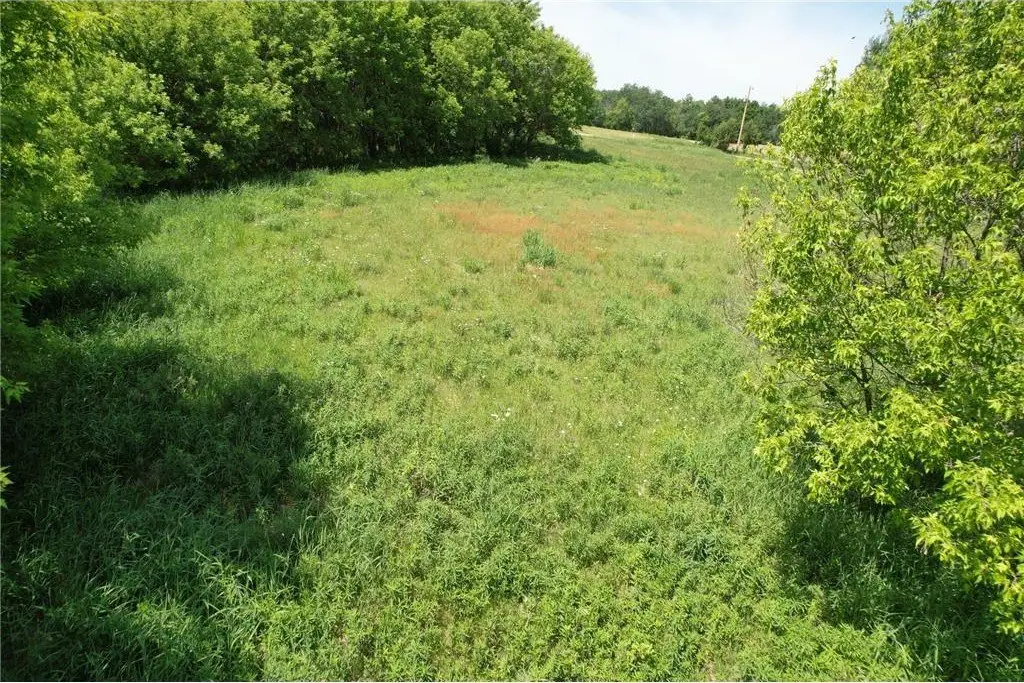 Picture 19