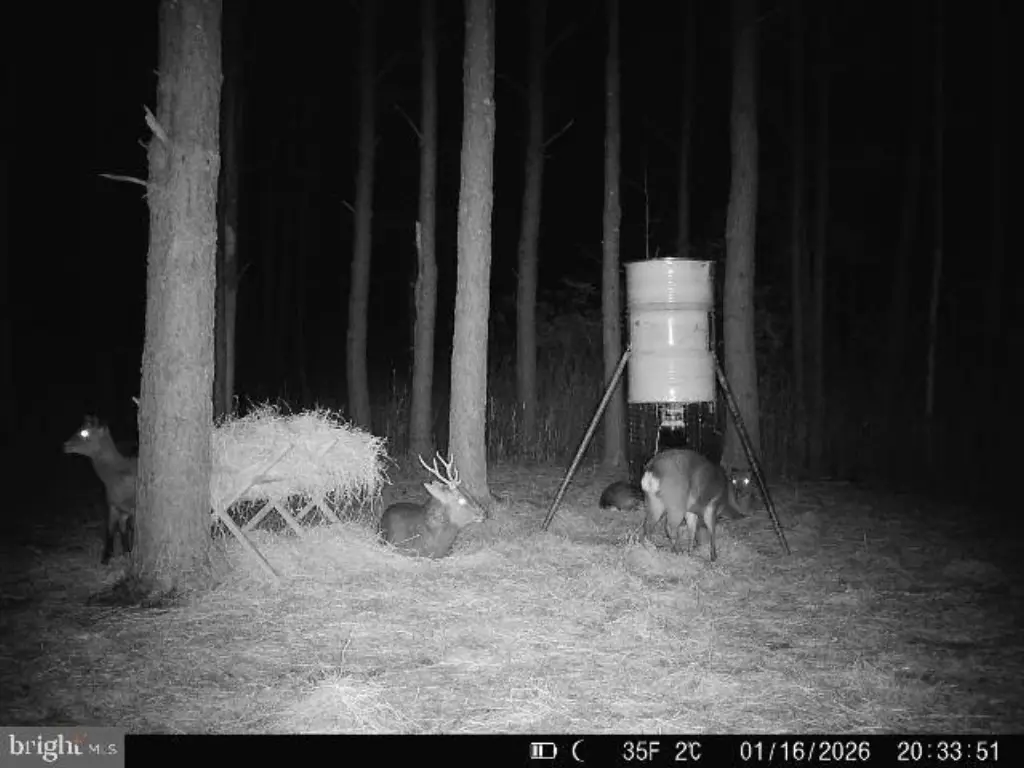 Picture 22