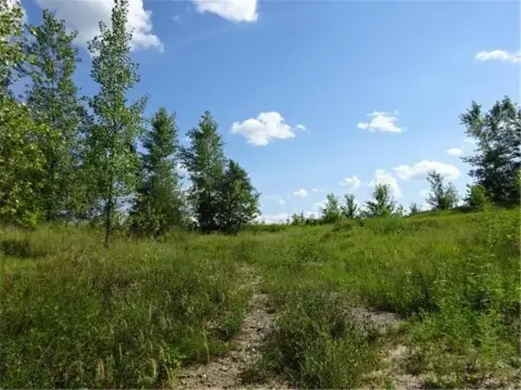 Residential Land in Northfield, MN