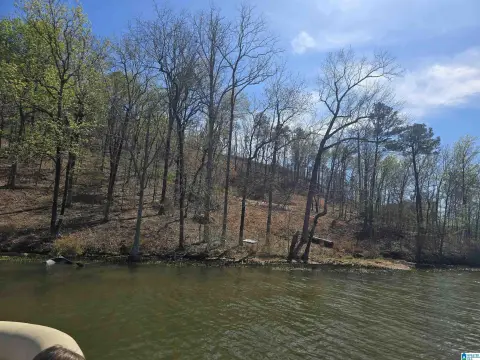 Waterfront Land Homesite
