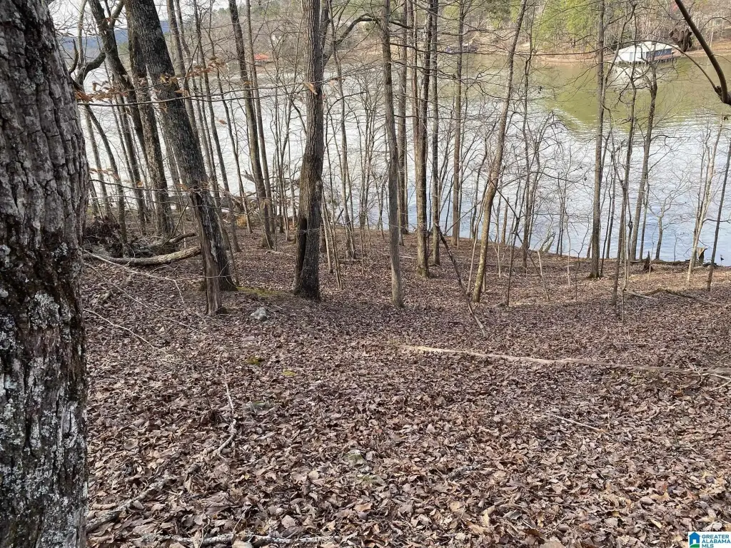 Picture 5