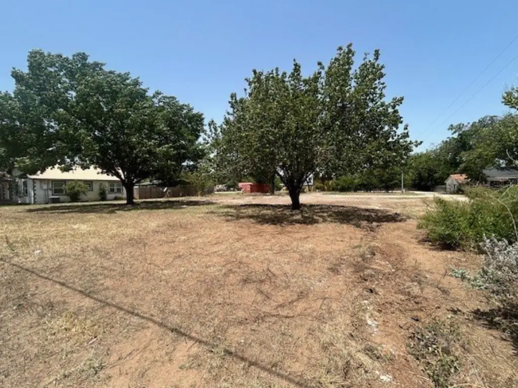 Picture 14