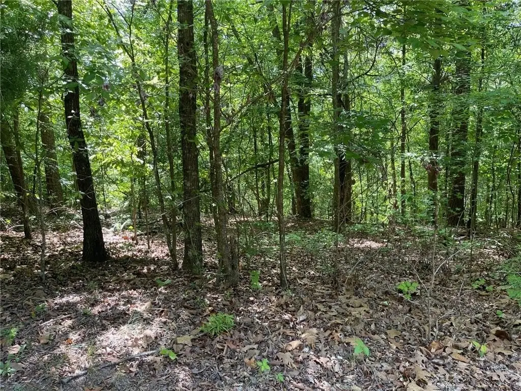 Picture 17