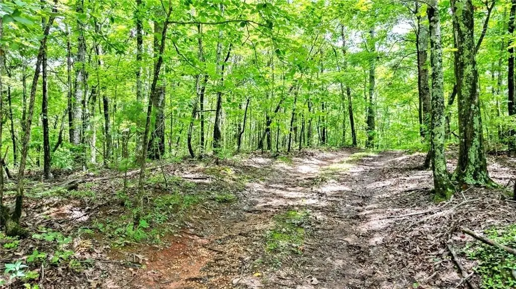 Picture 3