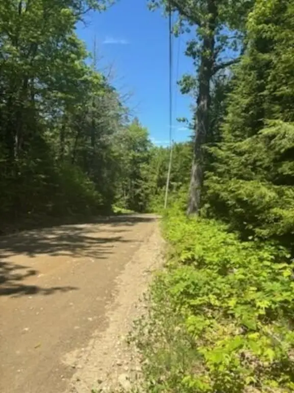 Picture 3