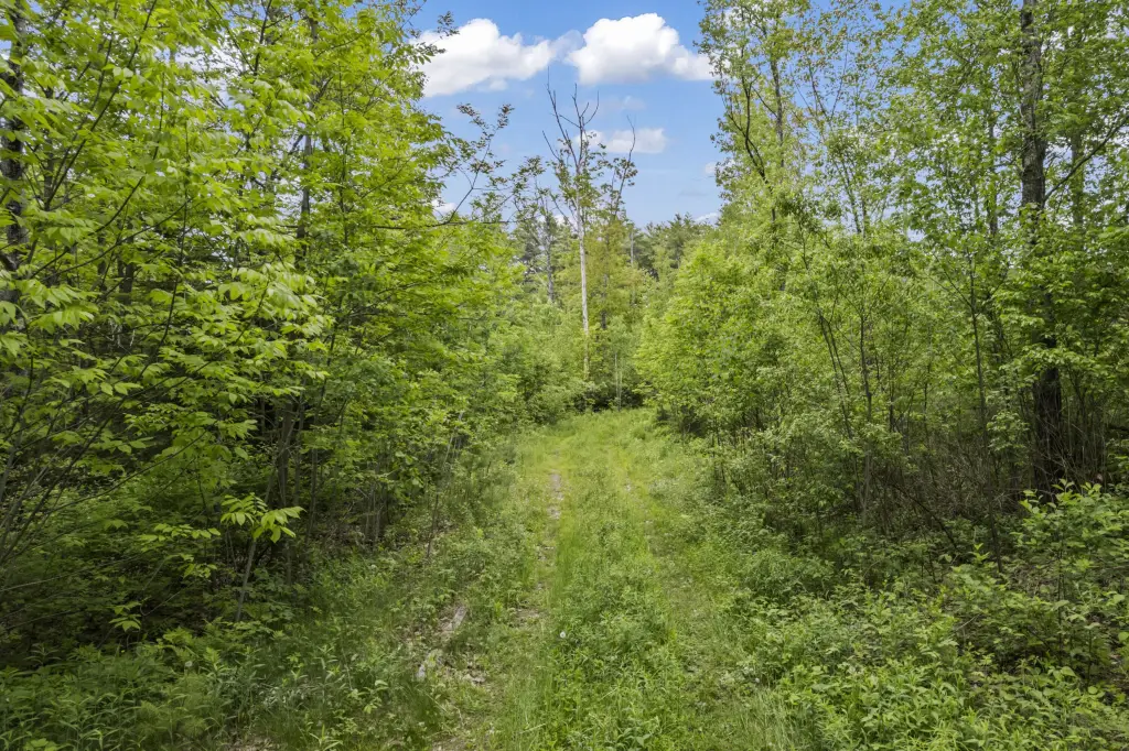 Picture 3
