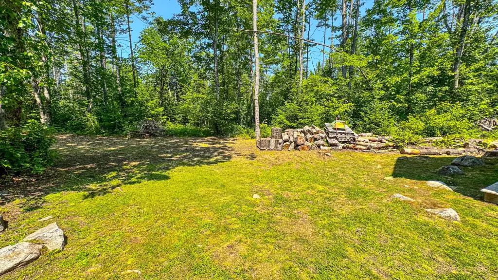 Picture 24