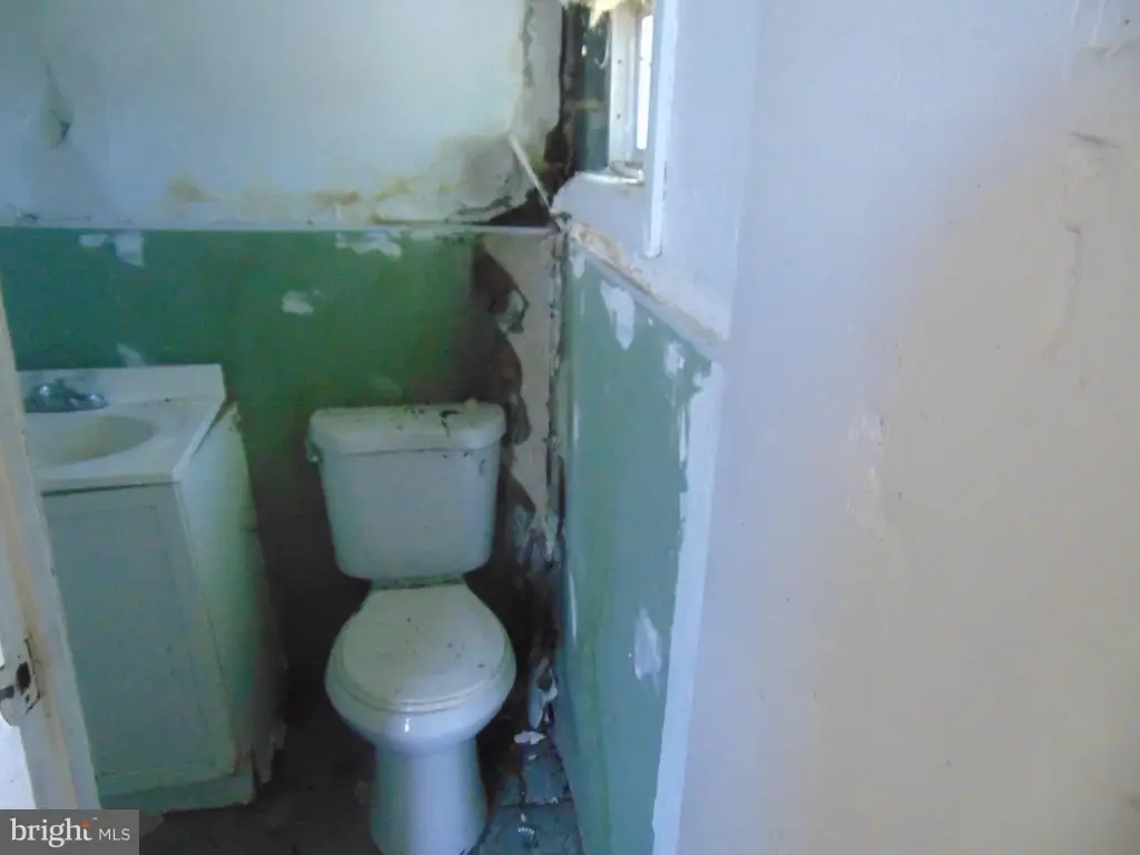 Picture 12