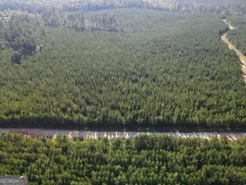 Hunting Land with Planted Pines