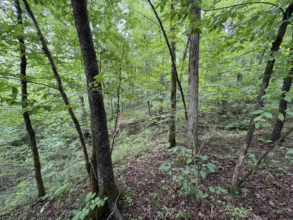 Picture 16