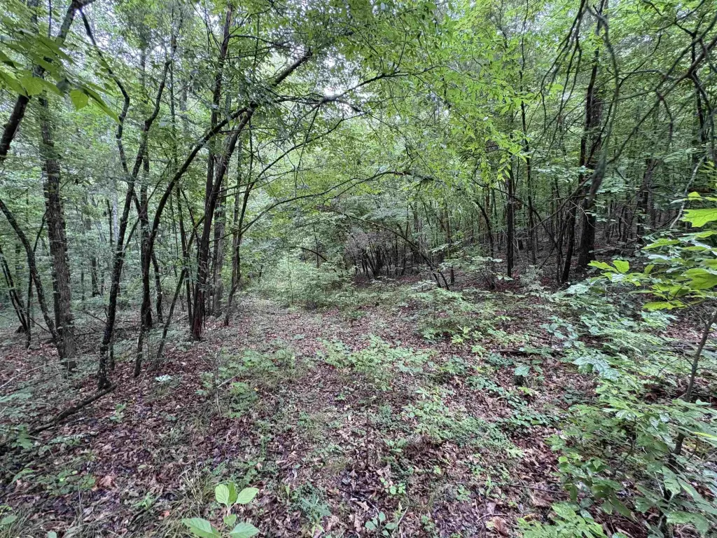 Picture 25