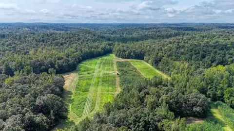 Hunting Land With Lodge