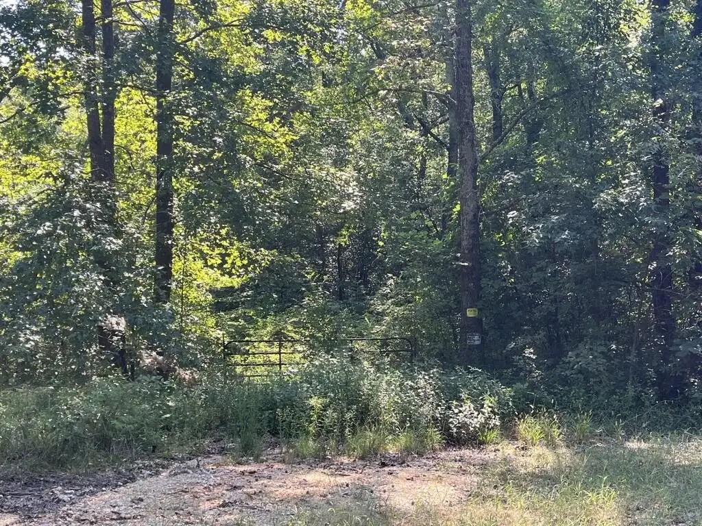 Picture 4