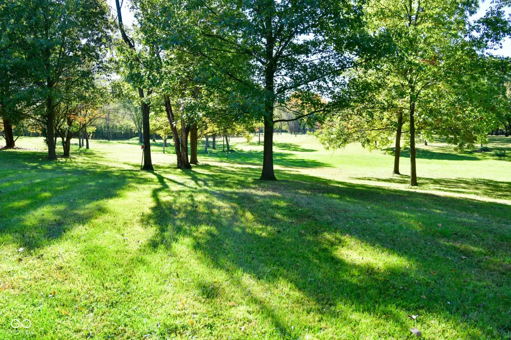 Picture 7