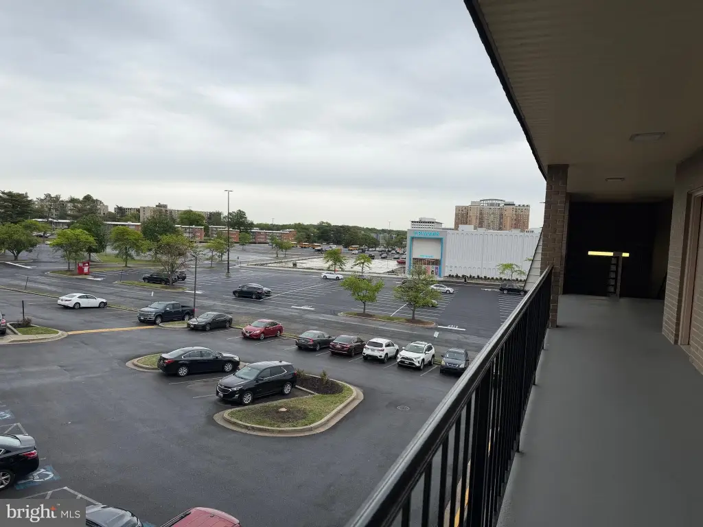 Picture 16
