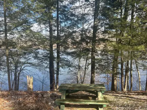 Lakefront Double Lot in Michigan