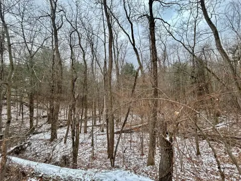 East Chatham Vacant Land