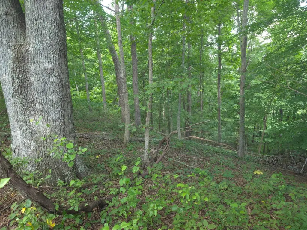 Picture 23
