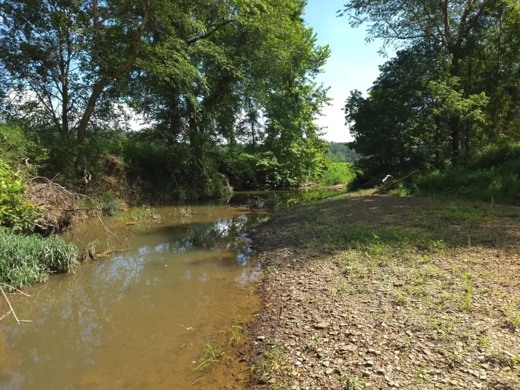 Picture 15