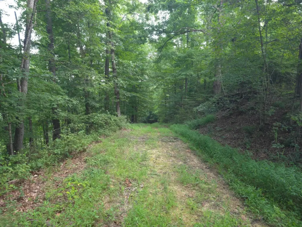 Picture 24