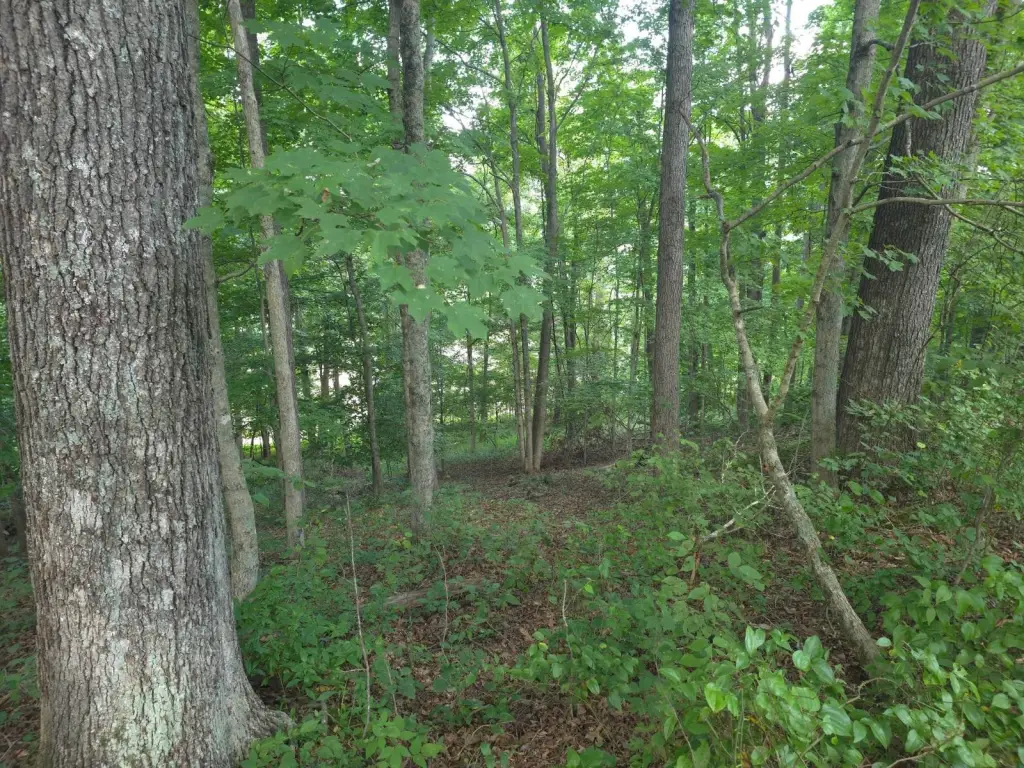 Picture 22