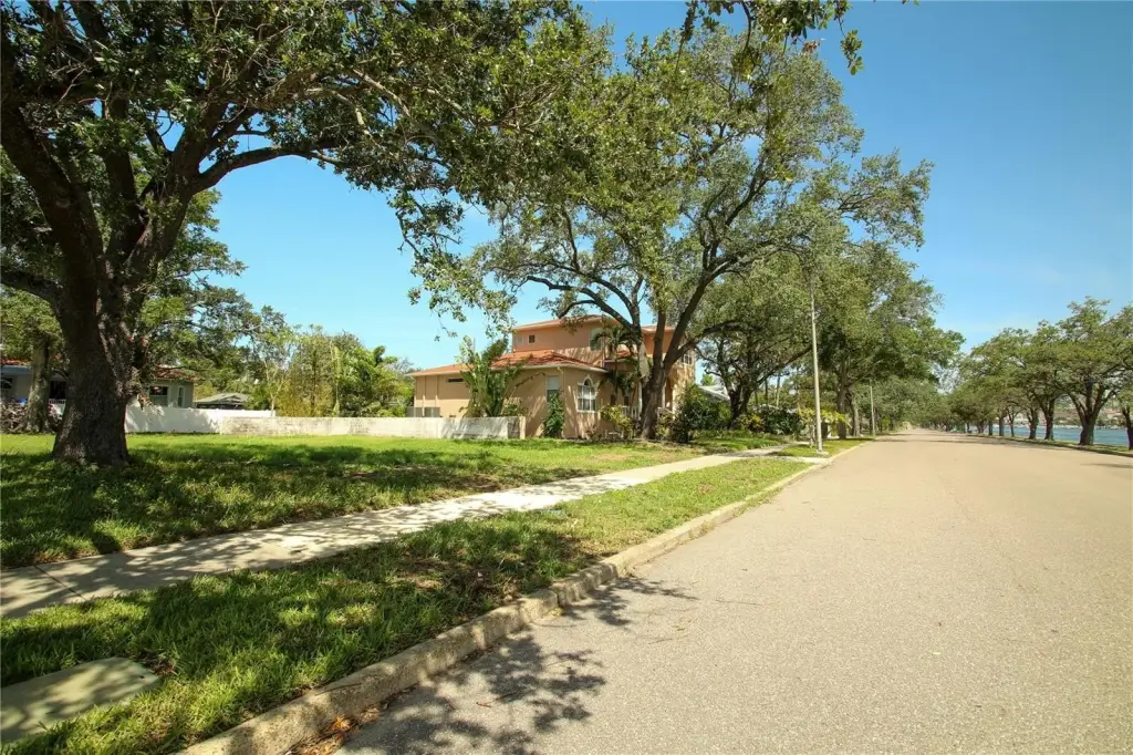 Picture 6