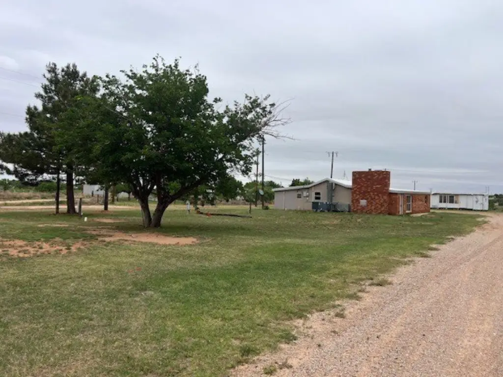 Picture 21