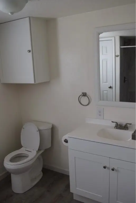 Picture 16