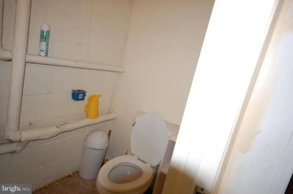 Picture 24