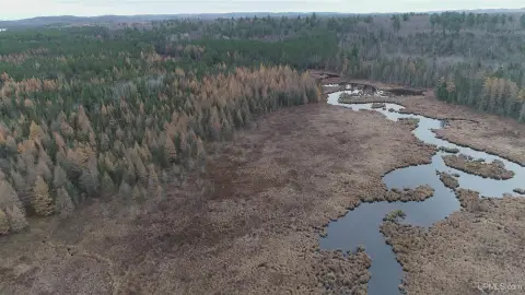 Pine and Spruce Hunting Land