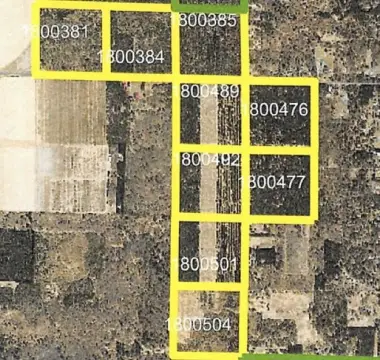 360 Acres Near Wisconsin Rapids