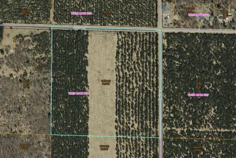 Wooded Acreage Near Wisconsin Rapids