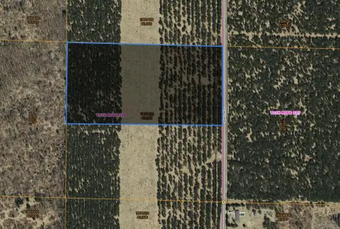 Wooded Acreage Near Wisconsin Rapids