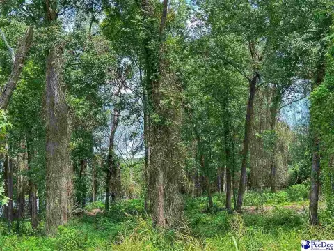 Lakefront Residential Lots in Dillon